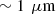 $ \sim 1\enspace \mathrm{\mu m}$