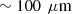 $ \sim 100\enspace \mathrm{\mu m}$
