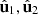 $ {\hat{\mathbf{u}}}_1,{\hat{\mathbf{u}}}_2$