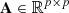 $ \mathbf{A}\in {\mathbb{R}}^{p\times p}$