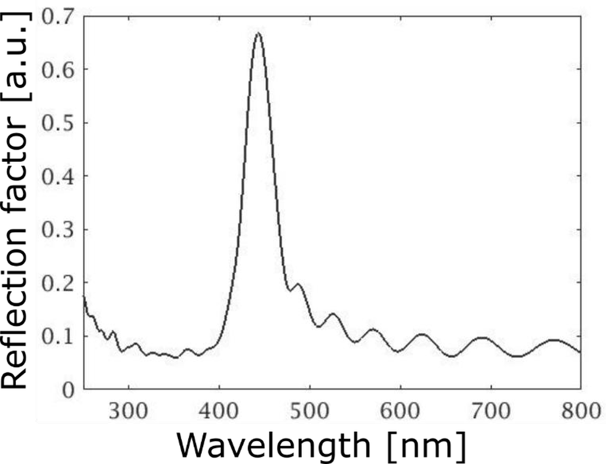Figure S3. Refer to the following caption and surrounding text.