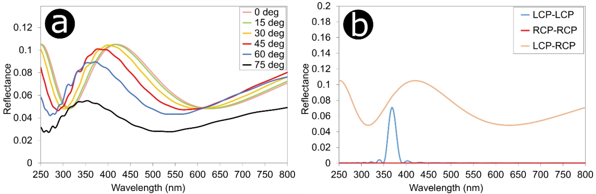 Figure S4. Refer to the following caption and surrounding text.