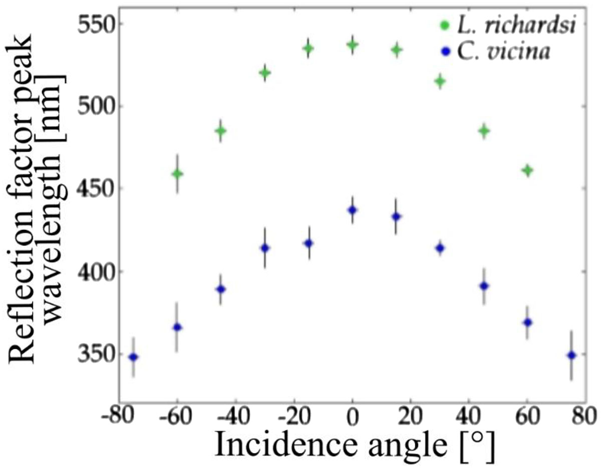 Figure 4 Refer to the following caption and surrounding text.