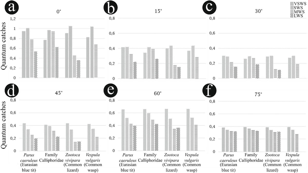 Figure 5 Refer to the following caption and surrounding text.