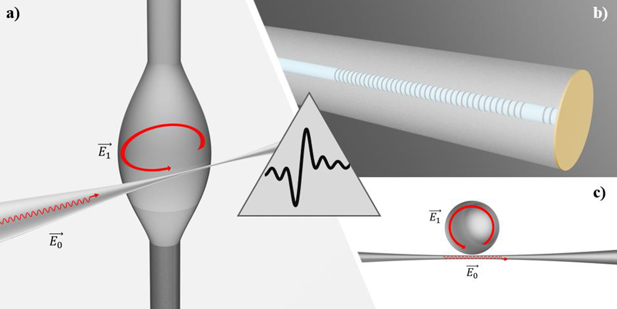 Fig. 3 Refer to the following caption and surrounding text.
