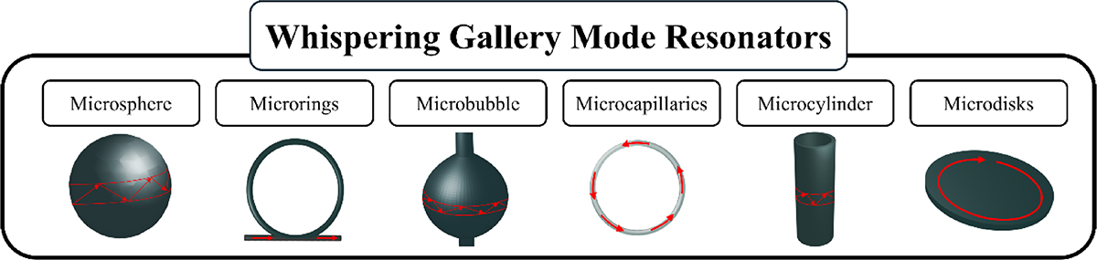 Fig. 4 Refer to the following caption and surrounding text.