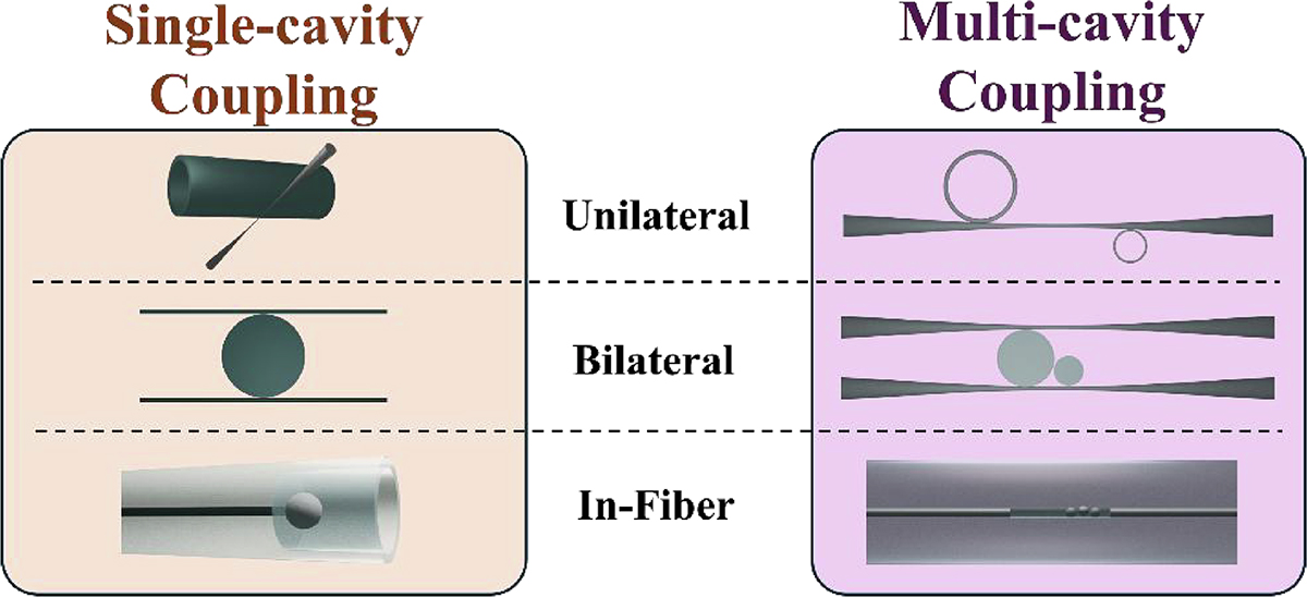 Fig. 5 Refer to the following caption and surrounding text.