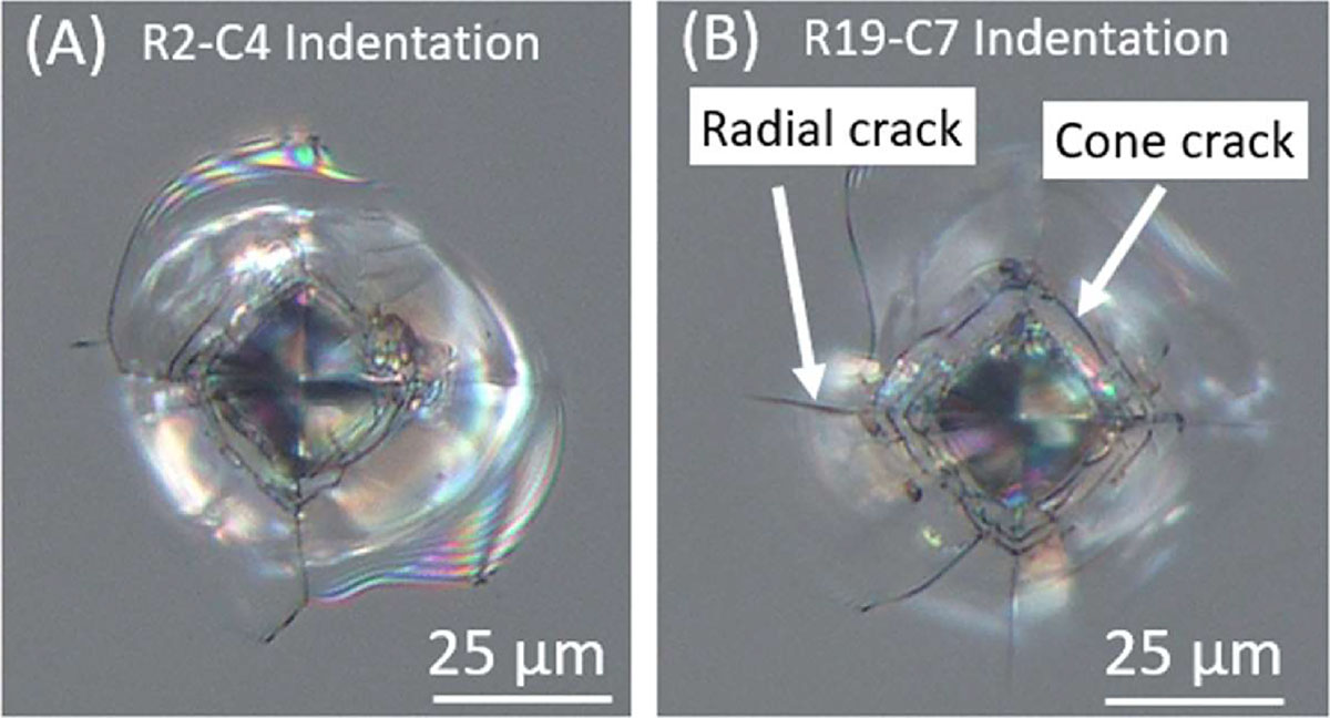 Figure 2 Refer to the following caption and surrounding text.