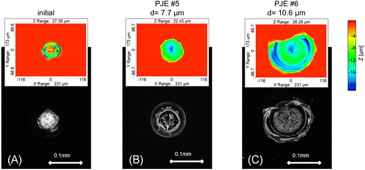 Figure 3 Refer to the following caption and surrounding text.