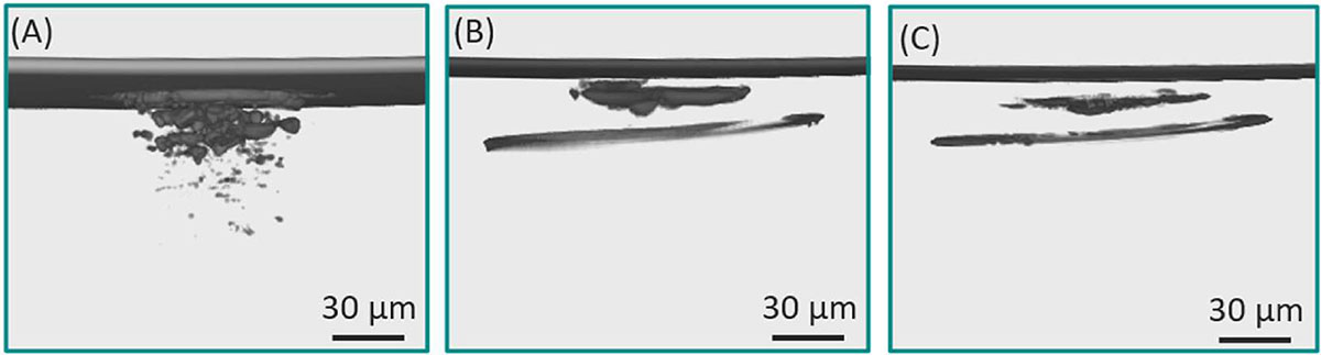 Figure 4 Refer to the following caption and surrounding text.