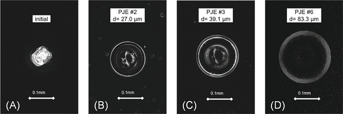Figure 5 Refer to the following caption and surrounding text.