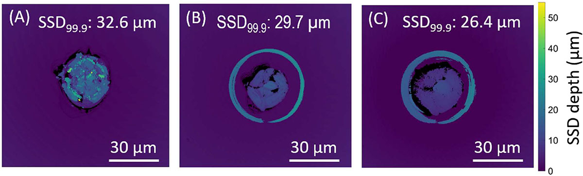Figure 7 Refer to the following caption and surrounding text.