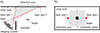 Thumbnail: Figure 1 Refer to the following caption and surrounding text.