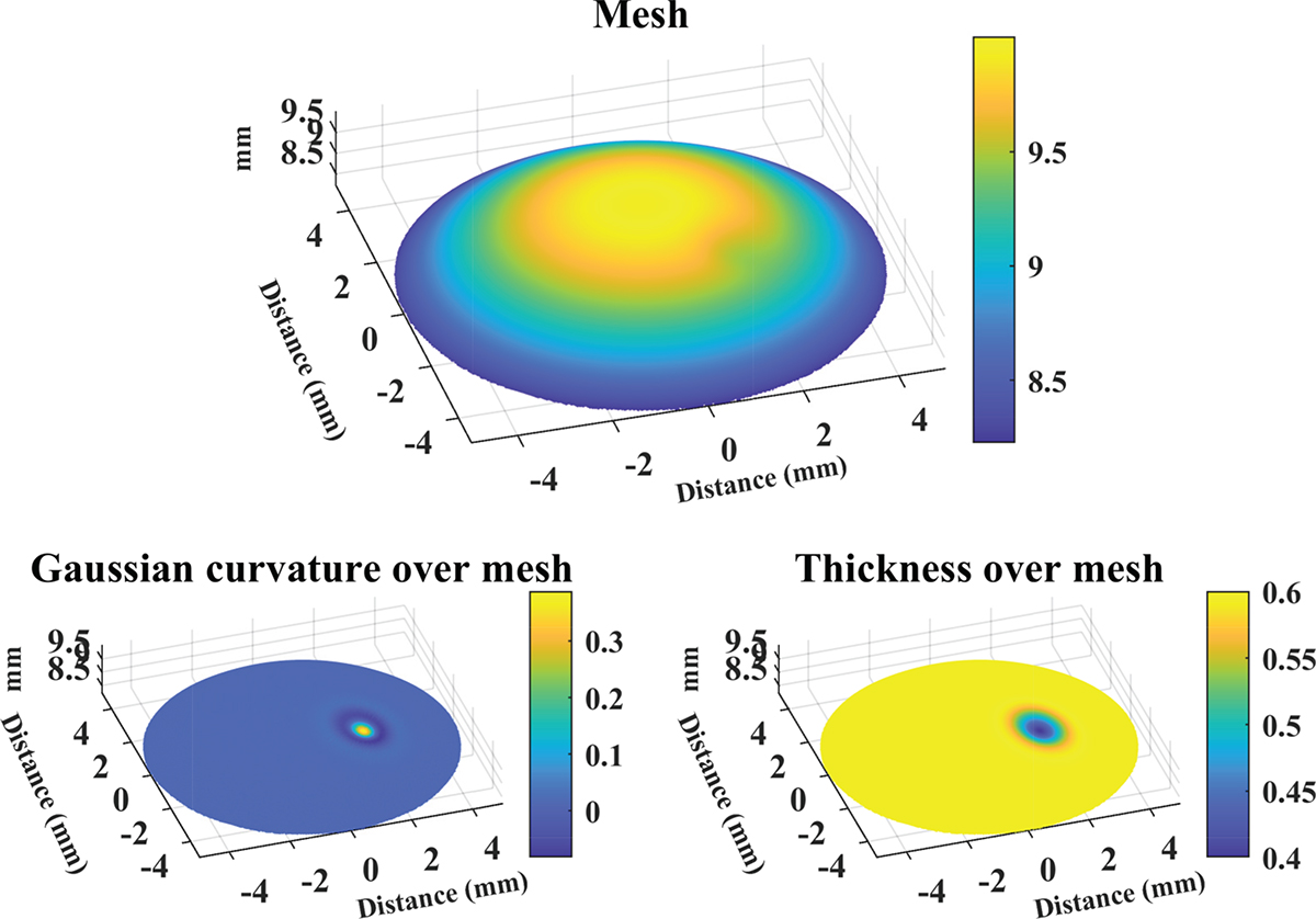Figure 1 Refer to the following caption and surrounding text.