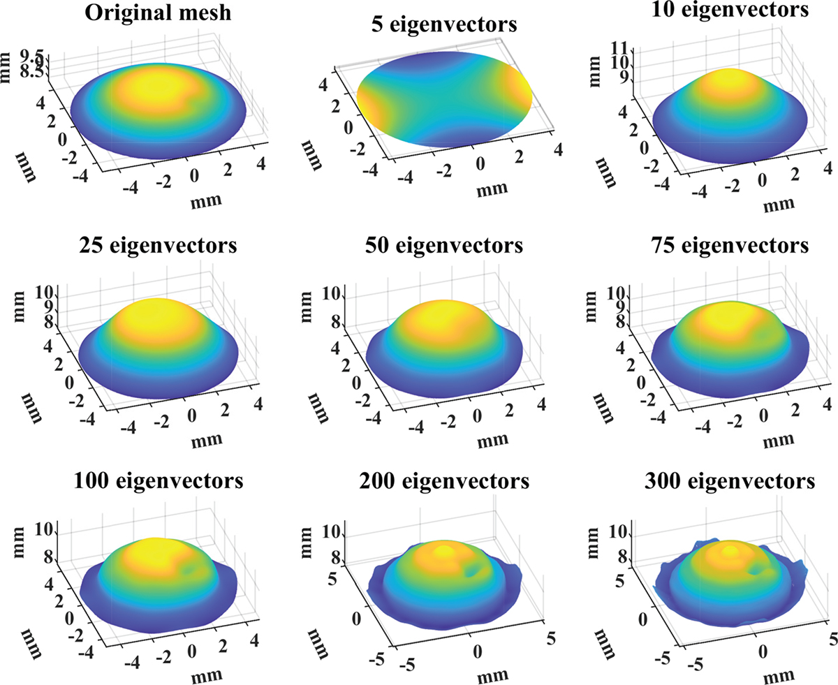 Figure 3 Refer to the following caption and surrounding text.