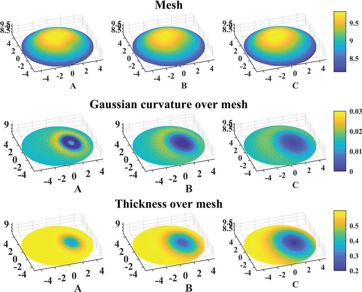 Figure 5 Refer to the following caption and surrounding text.