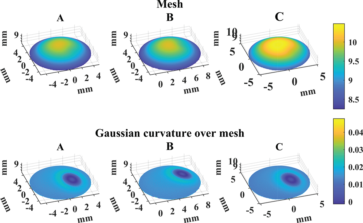 Figure 6 Refer to the following caption and surrounding text.