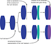 Thumbnail: Figure 2 Refer to the following caption and surrounding text.