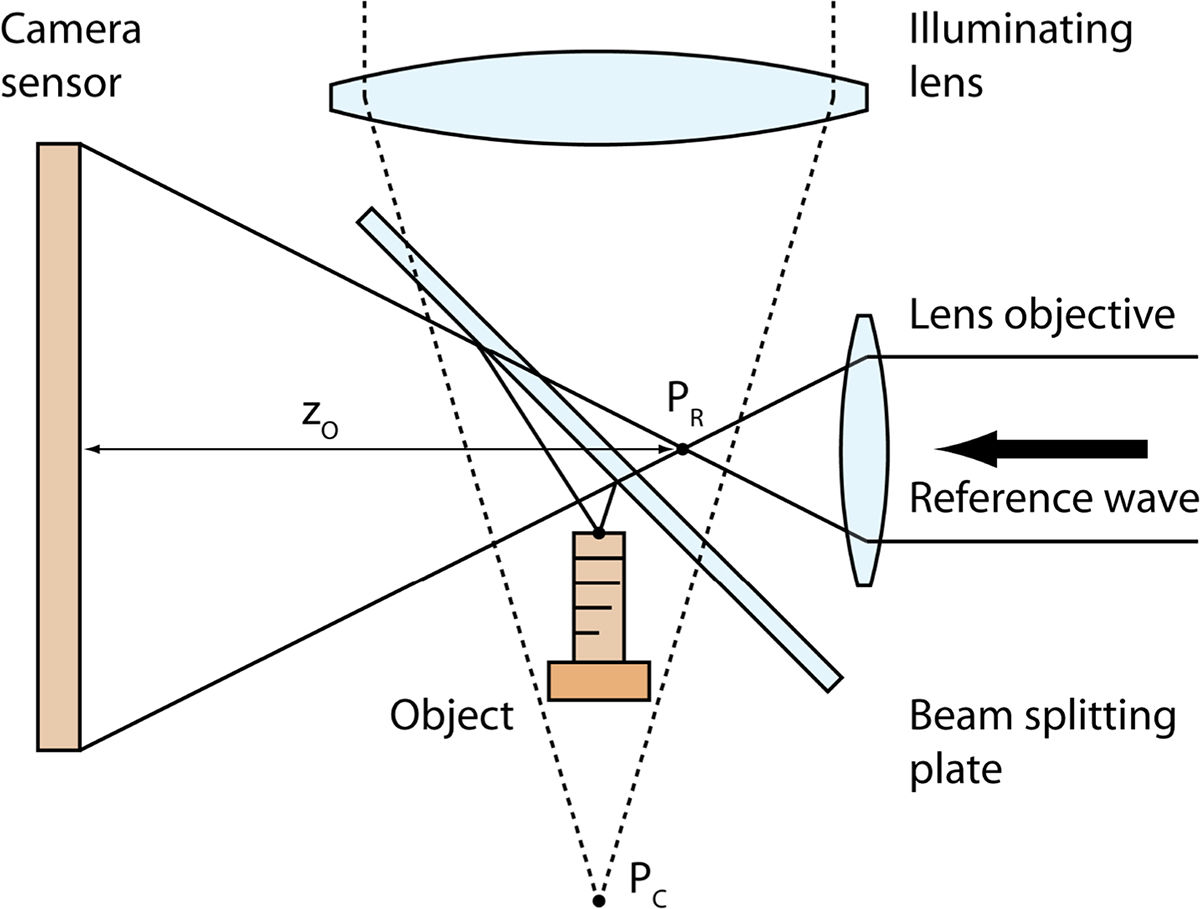 Figure 2 Refer to the following caption and surrounding text.