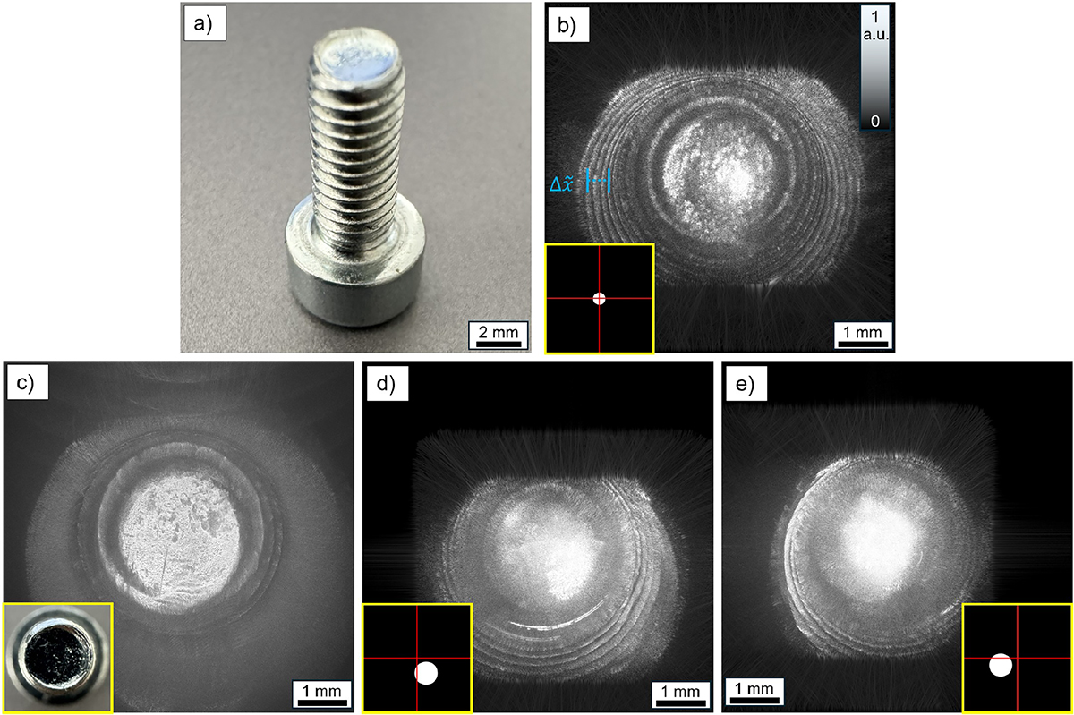 Figure 3 Refer to the following caption and surrounding text.