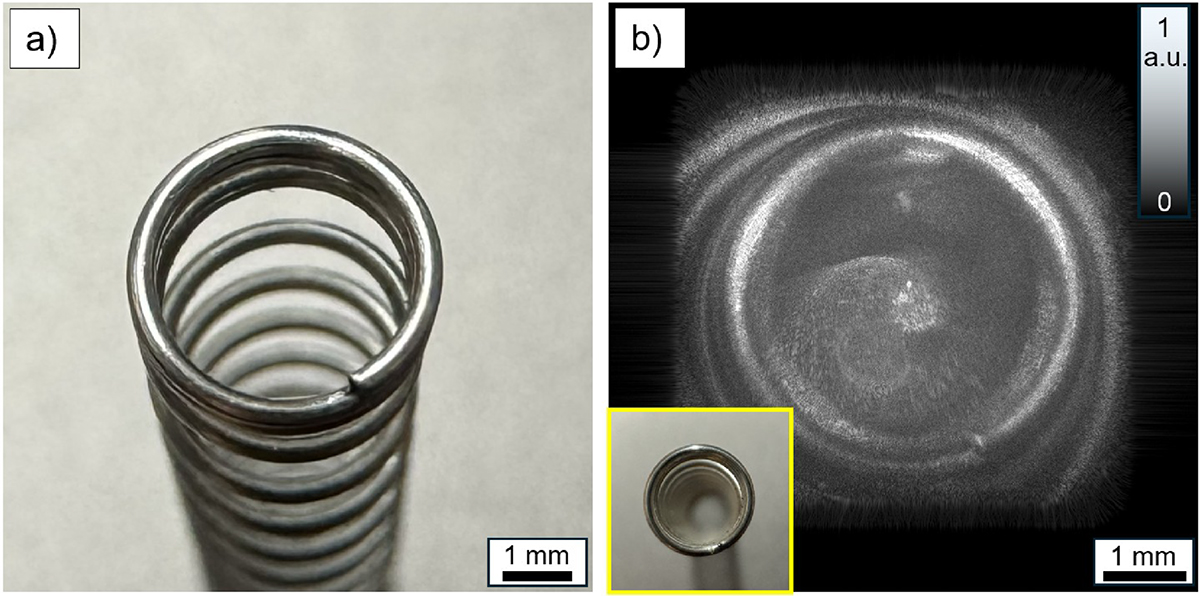 Figure 4 Refer to the following caption and surrounding text.