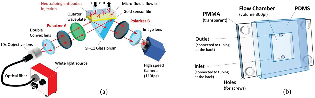 Fig. 1 Refer to the following caption and surrounding text.