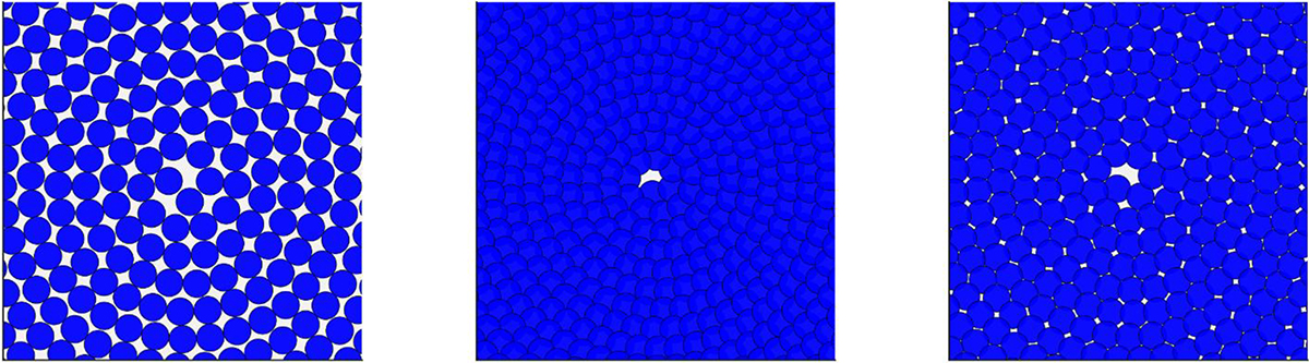 Fig. 3 Refer to the following caption and surrounding text.