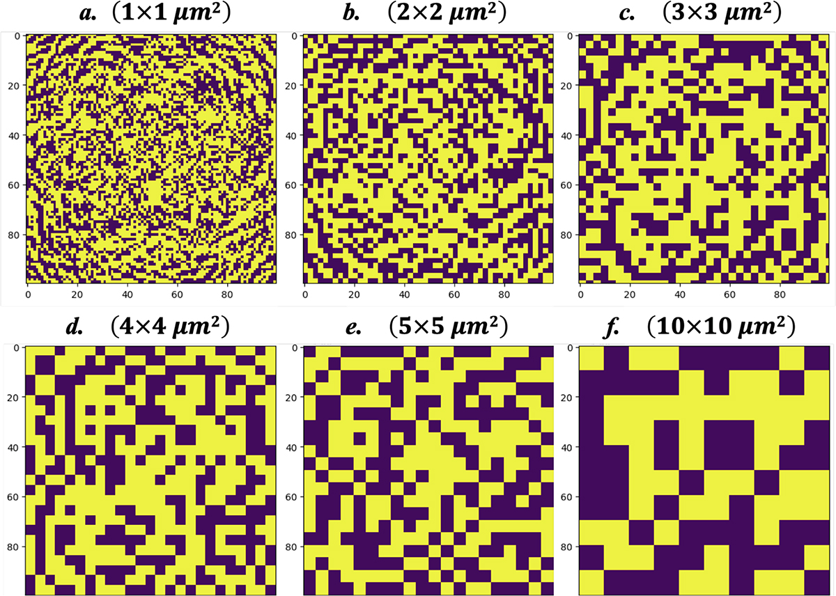 Figure 6 Refer to the following caption and surrounding text.