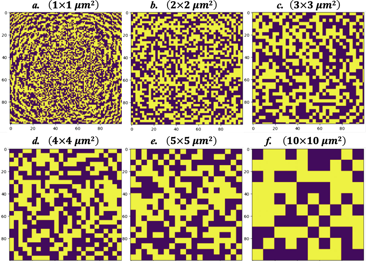 Figure 7 Refer to the following caption and surrounding text.