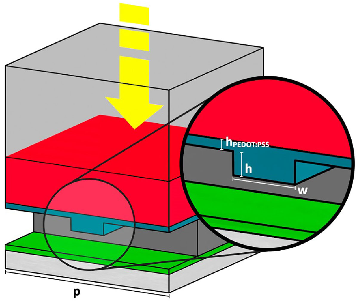 Figure 2 Refer to the following caption and surrounding text.