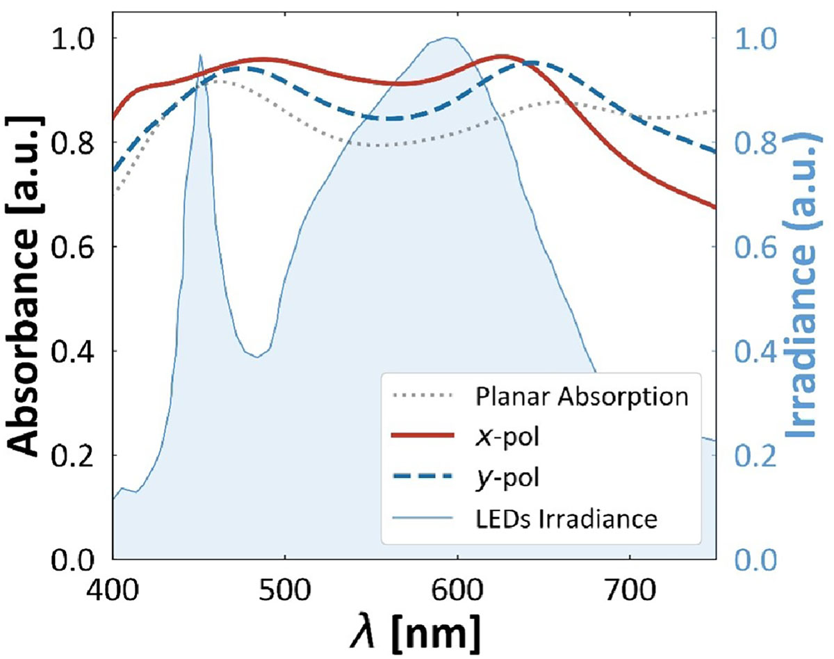 Figure 4 Refer to the following caption and surrounding text.