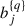 Mathematical equation: $ {b}_j^{\{q\}}$