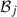 Mathematical equation: $ {\mathcal{B}}_j$