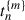Mathematical equation: $ {t}_n^{\{m\}}$