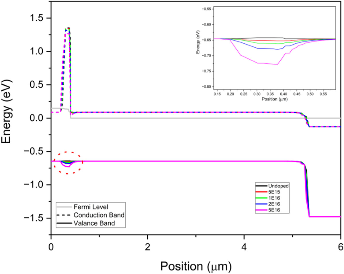 Figure 3 Refer to the following caption and surrounding text.