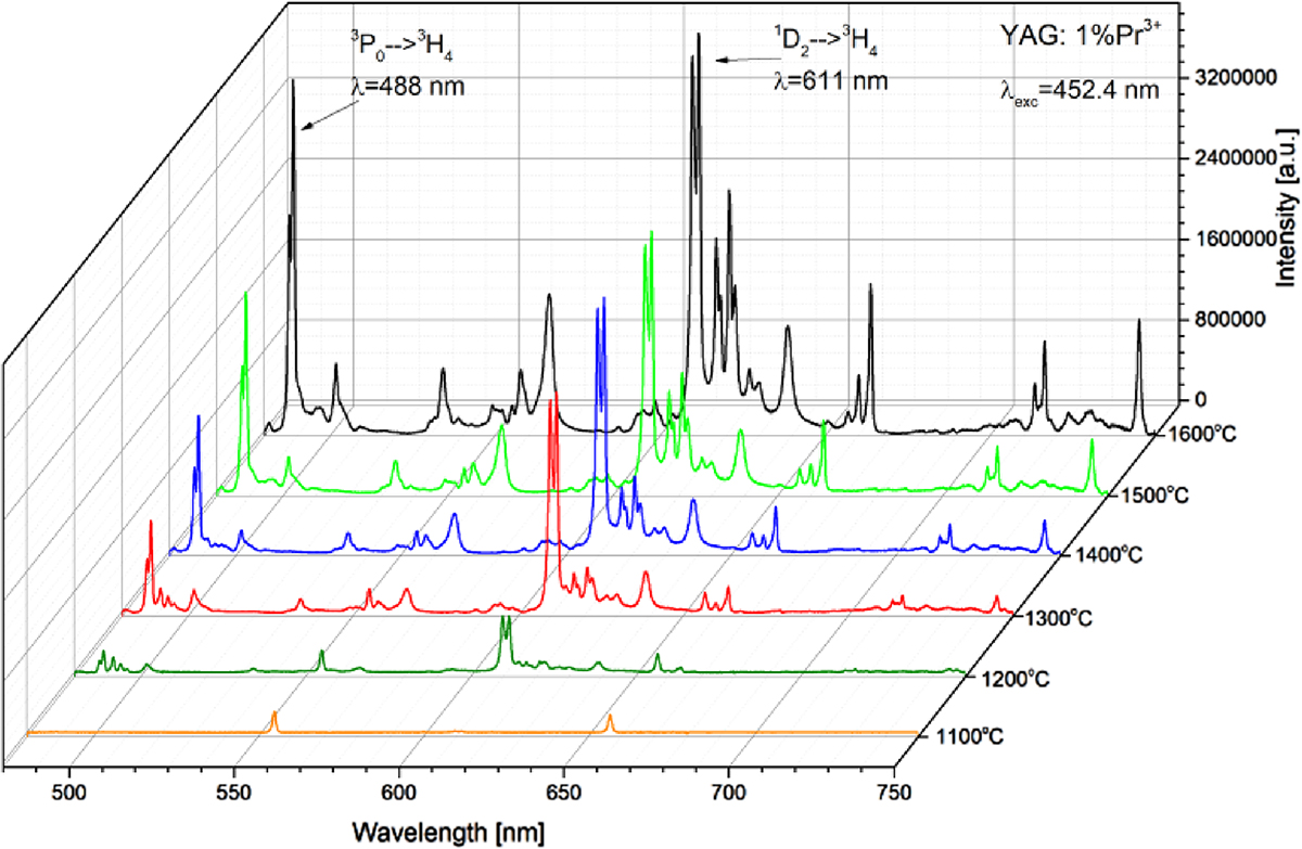 Figure 2 Refer to the following caption and surrounding text.