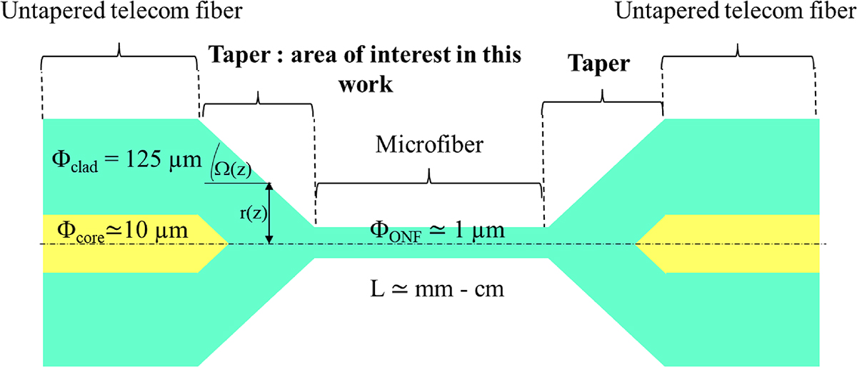 Fig. 1 Refer to the following caption and surrounding text.