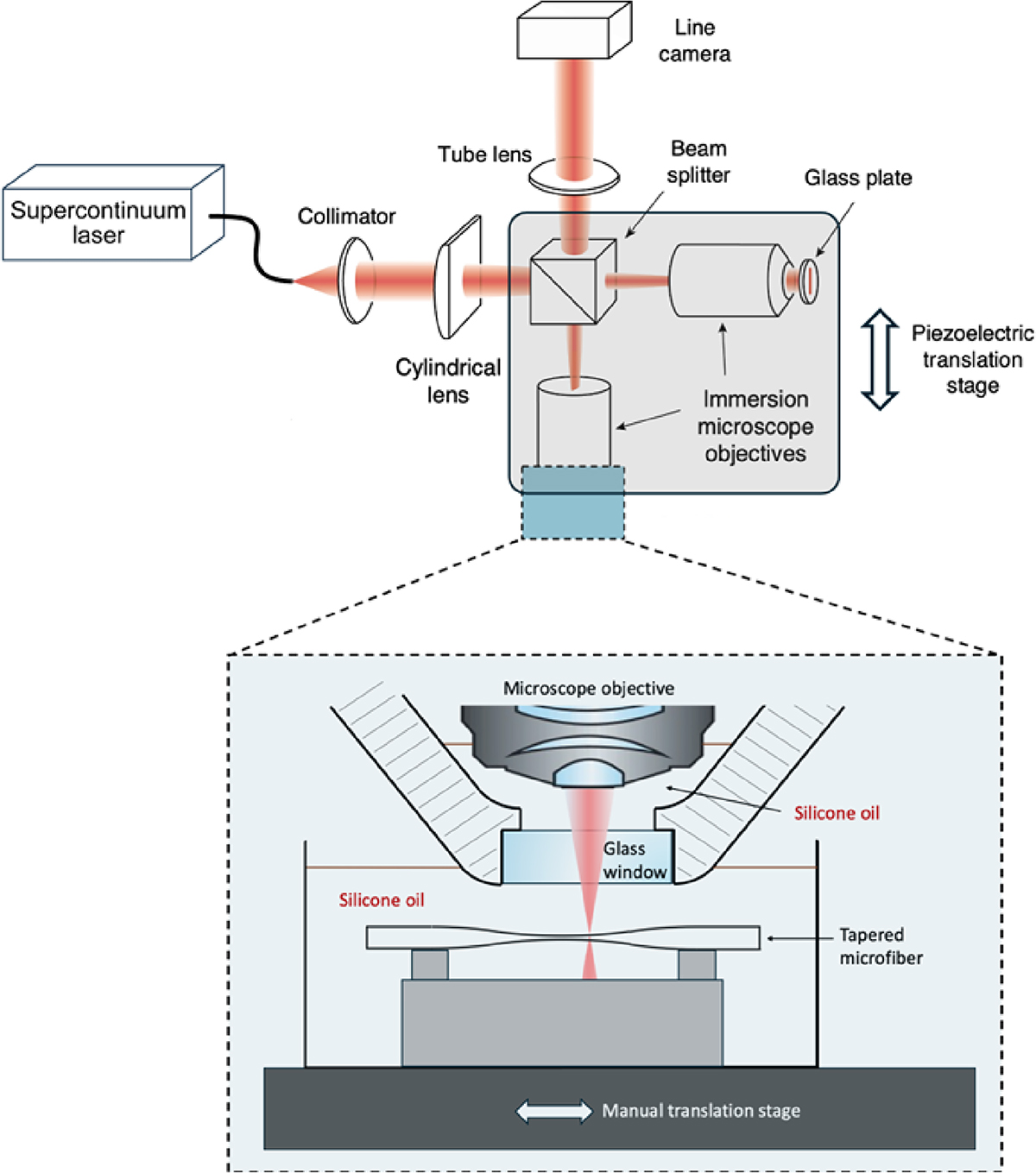 Fig. 2 Refer to the following caption and surrounding text.