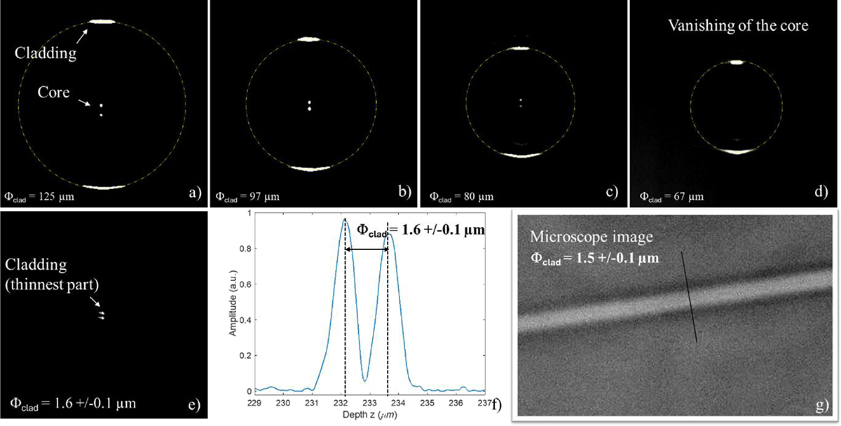 Fig. 3 Refer to the following caption and surrounding text.