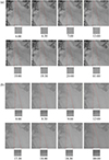 Thumbnail: Figure 16 Refer to the following caption and surrounding text.