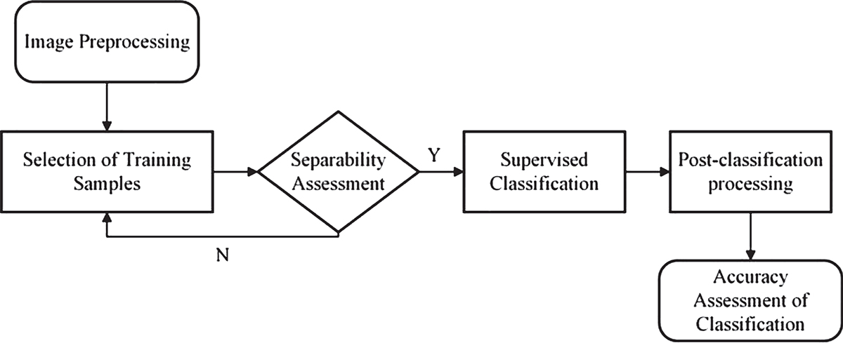 Figure 3 Refer to the following caption and surrounding text.