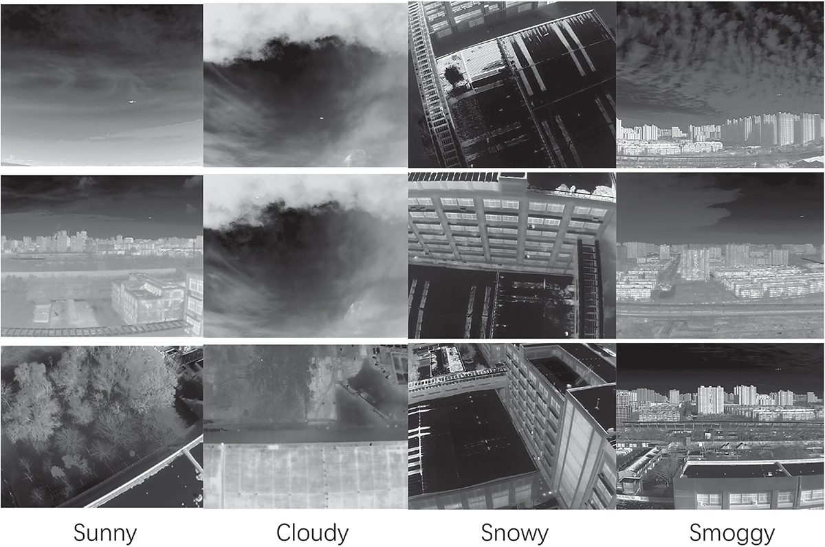 Figure 1 Refer to the following caption and surrounding text.