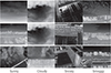 Thumbnail: Figure 1 Refer to the following caption and surrounding text.