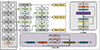Thumbnail: Figure 4 Refer to the following caption and surrounding text.