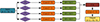 Thumbnail: Figure 7 Refer to the following caption and surrounding text.