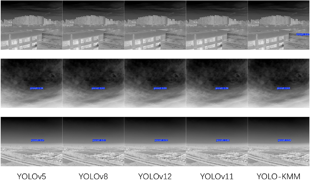 Figure 9 Refer to the following caption and surrounding text.