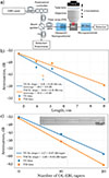 Thumbnail: Fig. 3 Refer to the following caption and surrounding text.