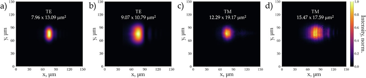 Fig. 6 Refer to the following caption and surrounding text.