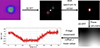 Thumbnail: Figure 10 Refer to the following caption and surrounding text.