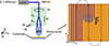 Thumbnail: Figure 1 Refer to the following caption and surrounding text.